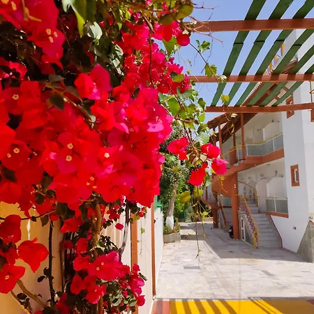 Apartamento Evli *
